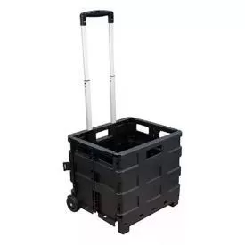 Imagen de Carrito De Compras Plegable - Gran Resistencia